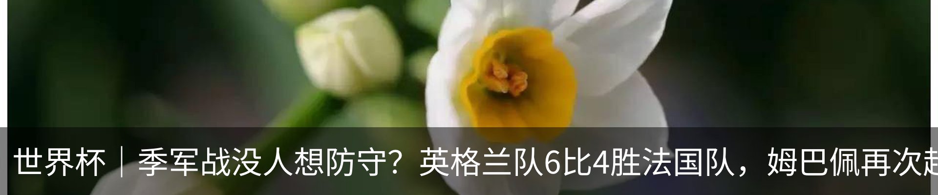 最新动态