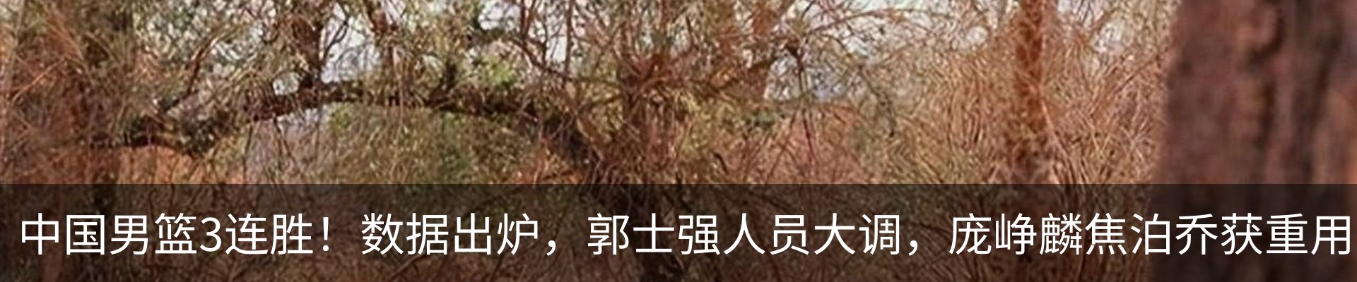 最新动态