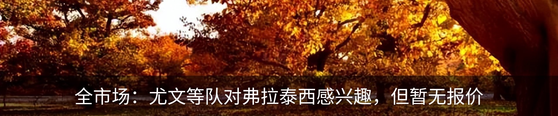 最新动态