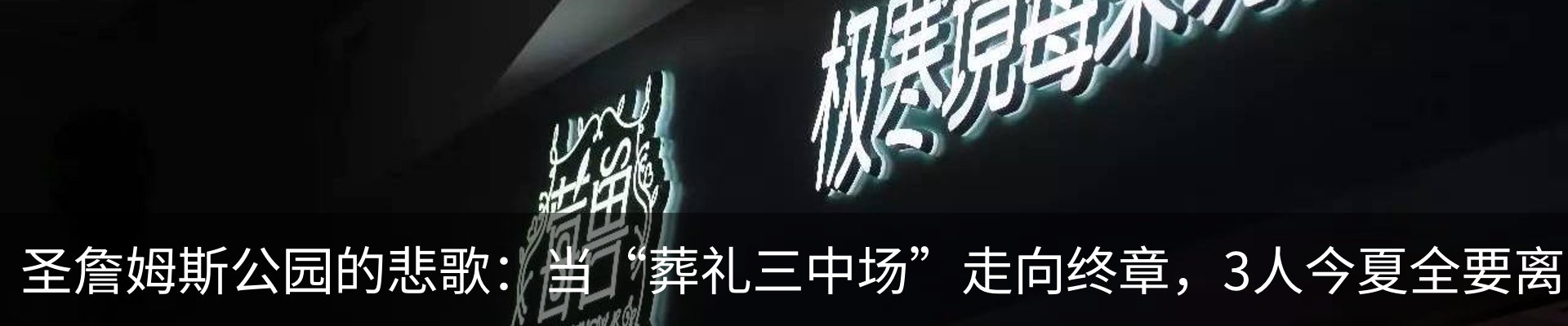 最新动态