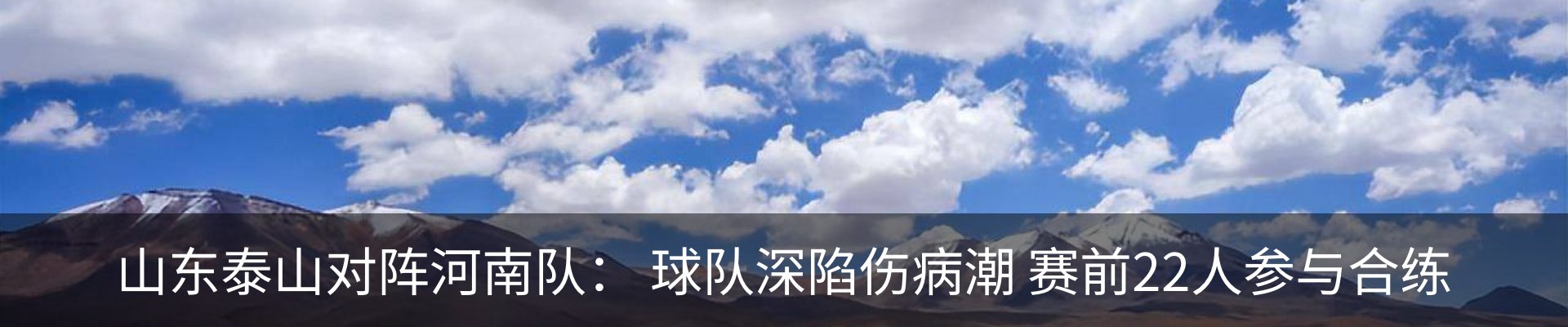 最新动态