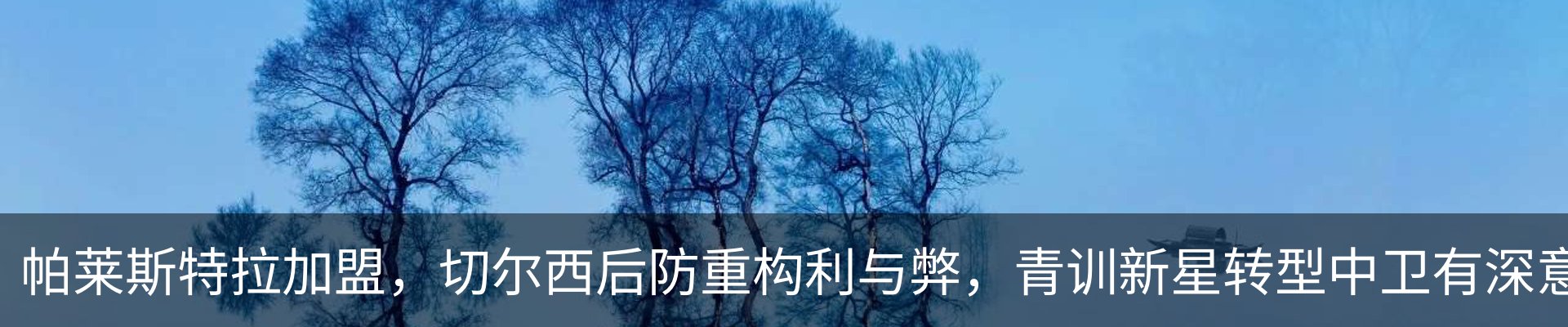 最新动态