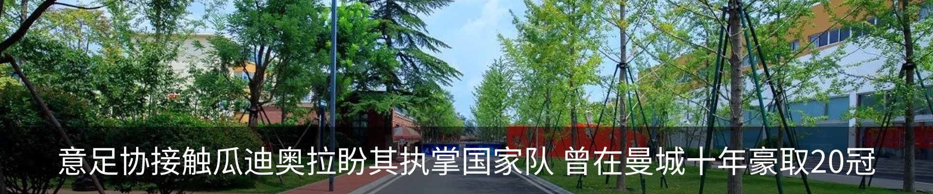 最新动态