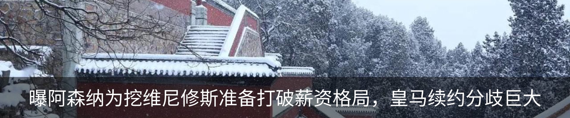 最新动态