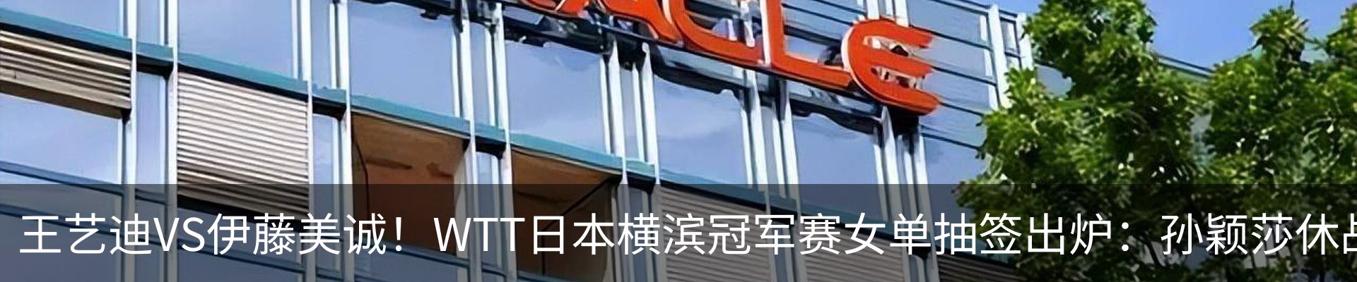 最新动态