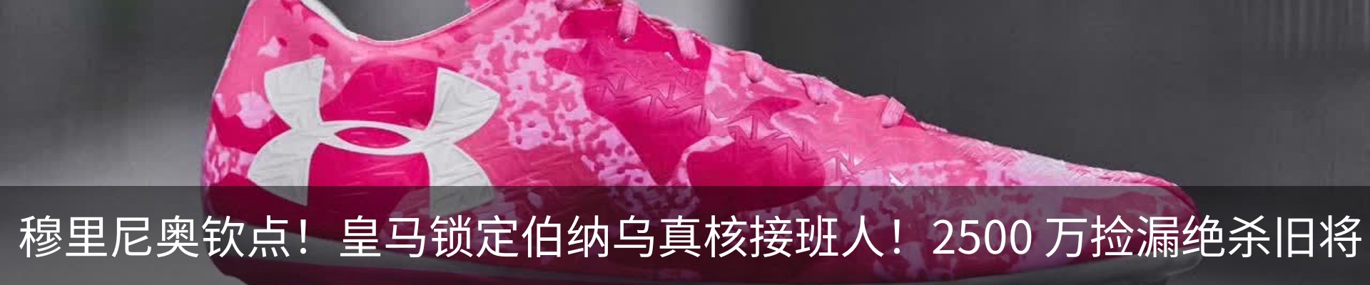 最新动态