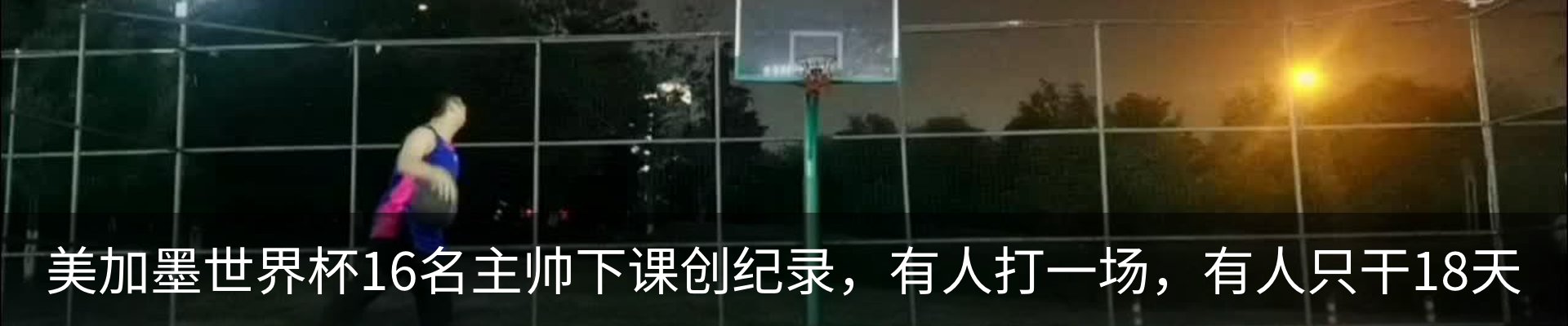 最新动态
