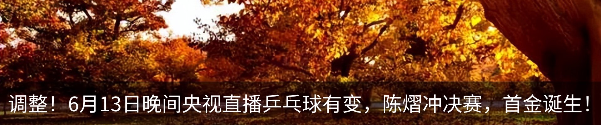 最新动态