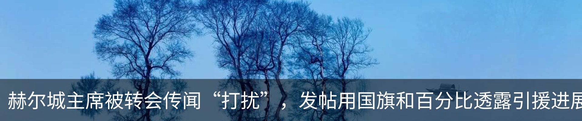 最新动态