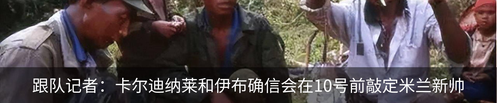 最新动态