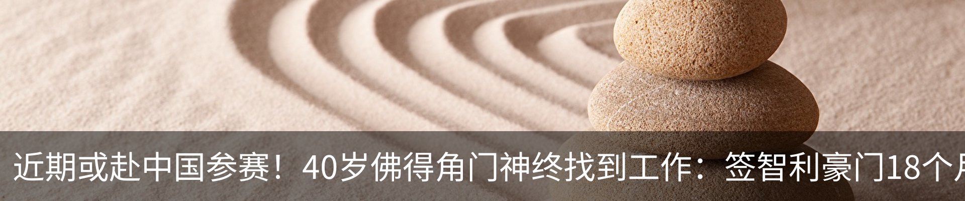 最新动态
