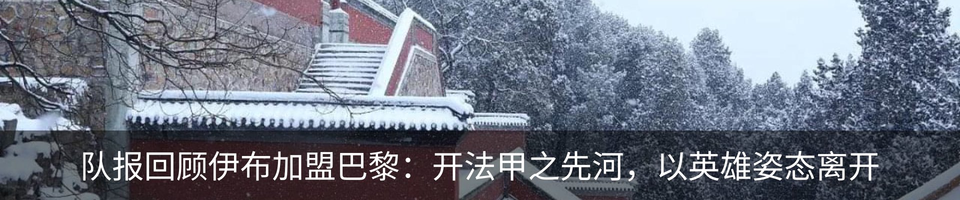 最新动态