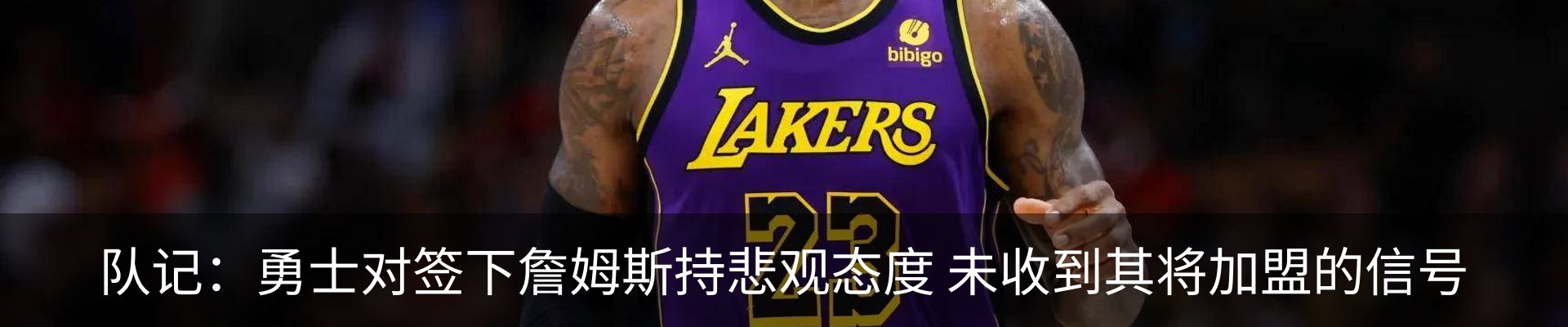 最新动态